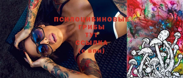стафф Абаза