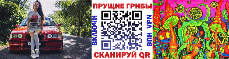 купить наркоту  Нижнекамск  Галлюциногенные грибы GOLDEN TEACHER 